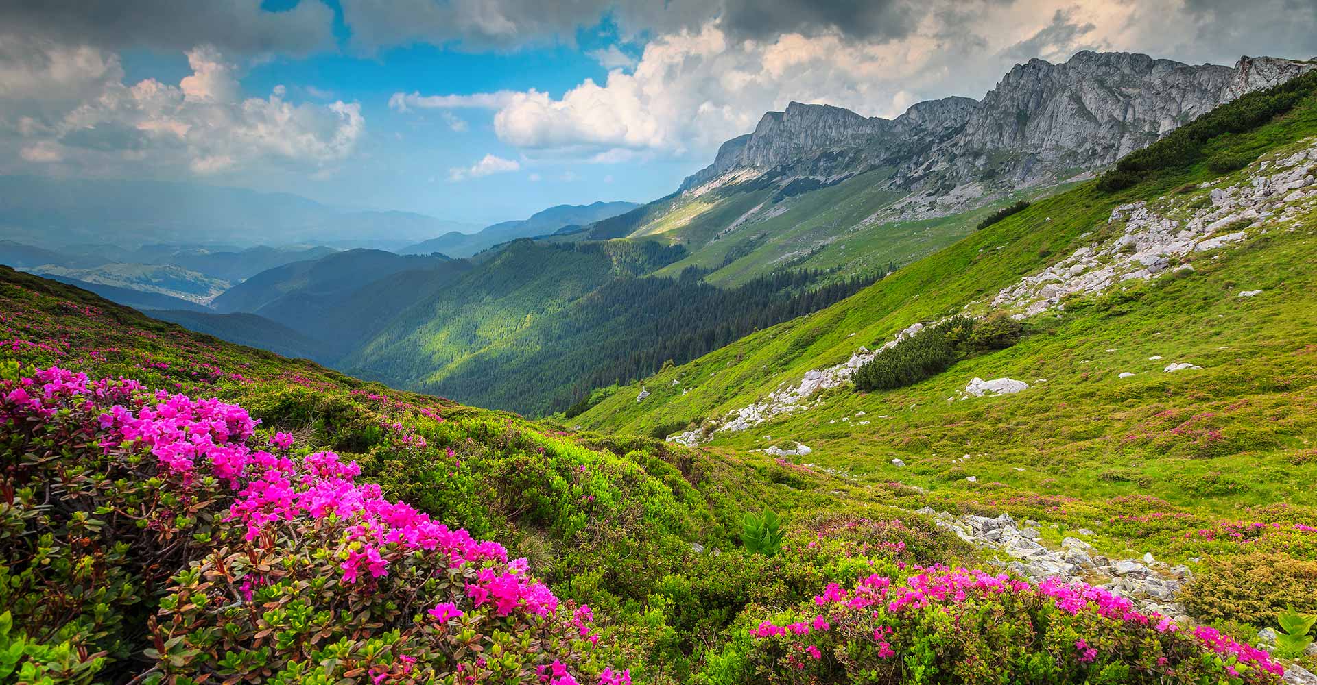 Romania