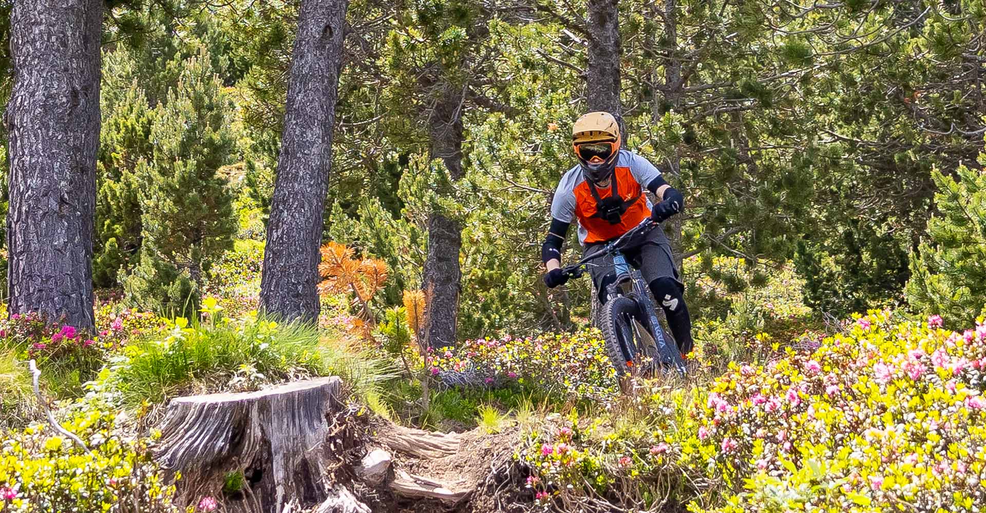 Andorra Alamäkiviikko