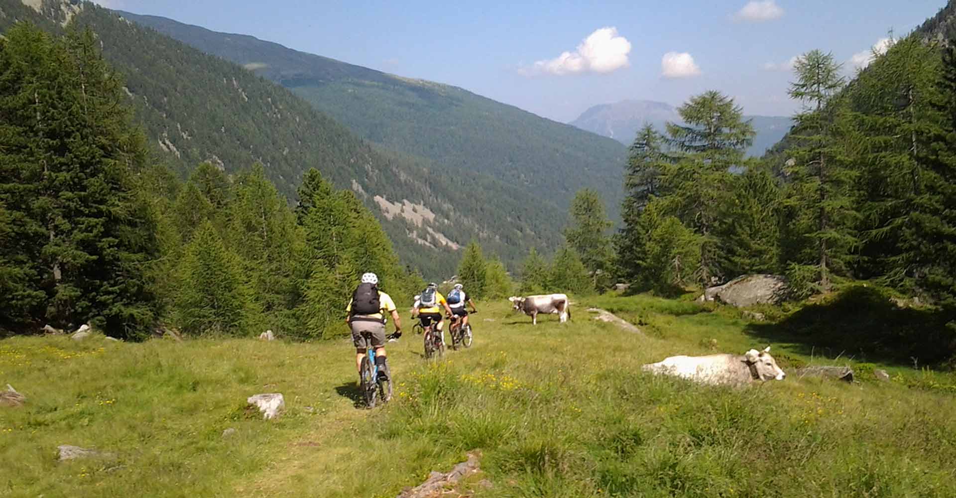 Trans Alp St. Anton - Garda